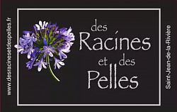 logo des racines et des pelles